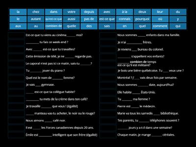 Prépositions, pronoms, articles, interrogations, COD/COI et autres (NP4 révision) (Françoise) - Version Michel