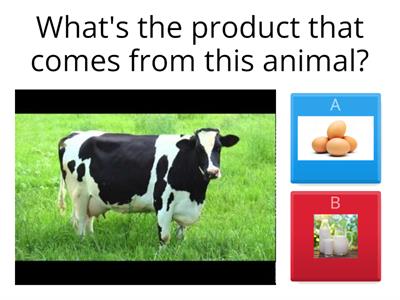  Products that come from the farm animals