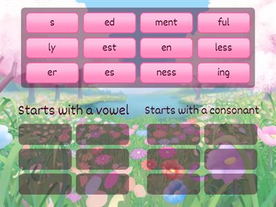 Suffixes starting with vowels or consonants