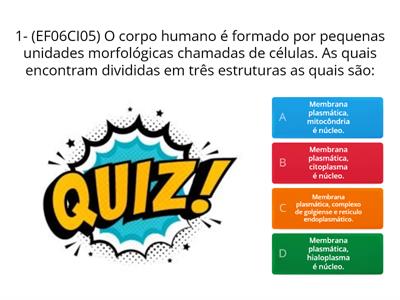 Quiz Interveção Pedagógica 9ºano