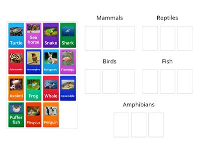 Animal groups