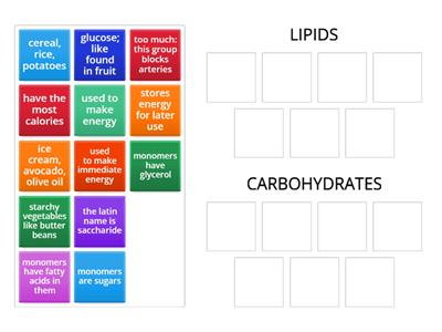 Carbohydrates and Lipids Card Sort