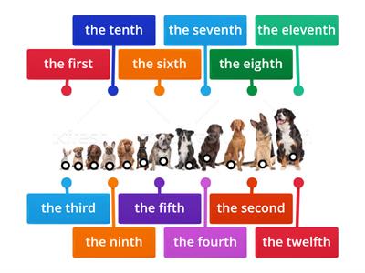 Ordinal Numbers 1st-12th