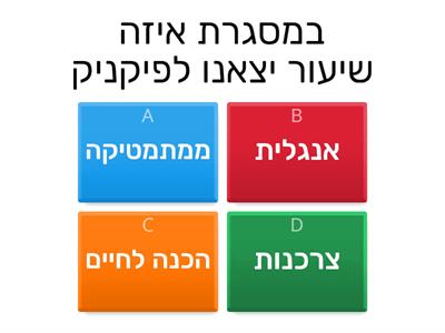 סיכום השנה