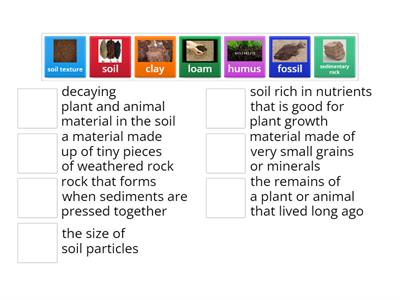 Formations of Rock, Soil, and Fossils Vocabulary