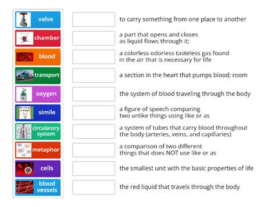 G4 M1 FQT2 Vocabulary