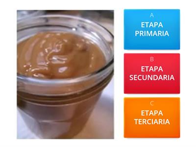 Circuito Productivo Del Dulce De Leche - Recursos Didácticos