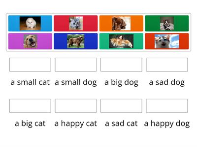 happy/sad  big/small    cat/dog
