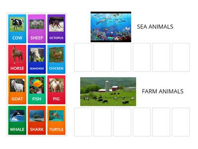 CLASSIFIQUE OS ANIMAIS ENTRE SEA ANIMALS E FARM ANIMALS
