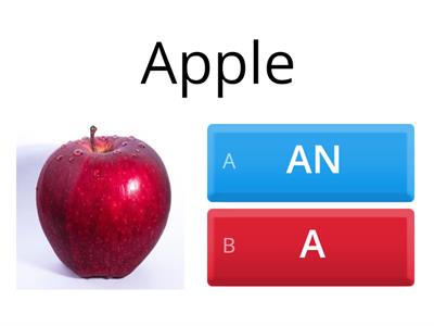 Singular nouns (A/AN) 