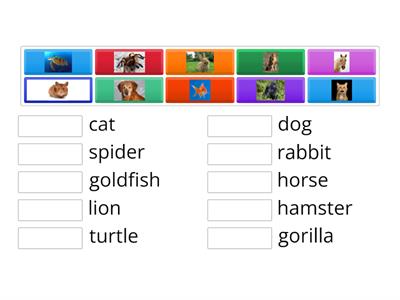 Pets Grade 1 (Genki English)