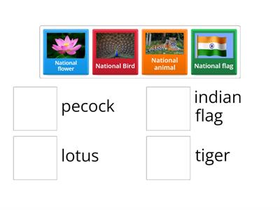 National symbols 