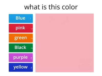 Color 🎨