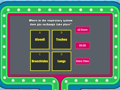 Respiratory system Re-cap