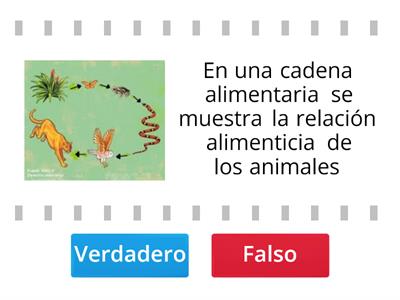 la cadena alimentaria