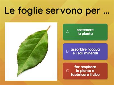 Le foglie