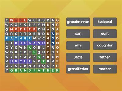 Wider World 1 unit 1 family members