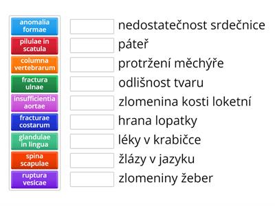 Zdravotnická latina - L2 - 12/1