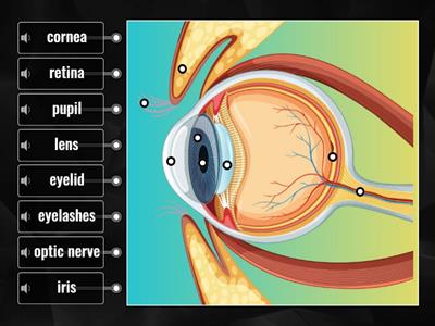 Eye Diagram