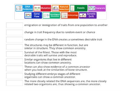 Mechanisms & Evidence of Evolution