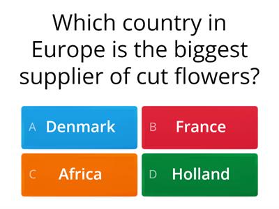 The Cut Flower Industry