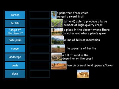 Sahara Desert Vocab Comp 3-7