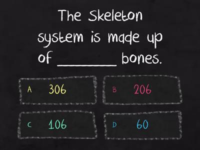 The Skeleton system