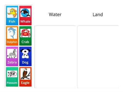 Water and Land Animals