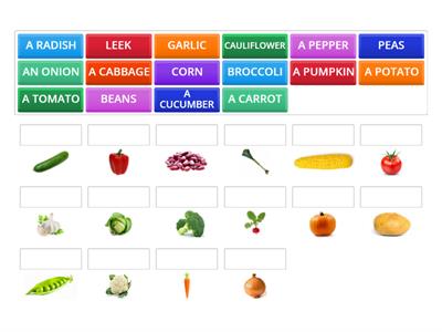 BASIC VOCABULARY – VEGETABLES (spojování)