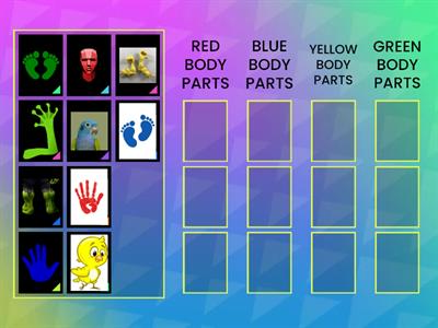 BODY PARTS AND COLORS