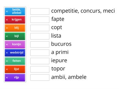 Spelling ei & ij  traducere 2