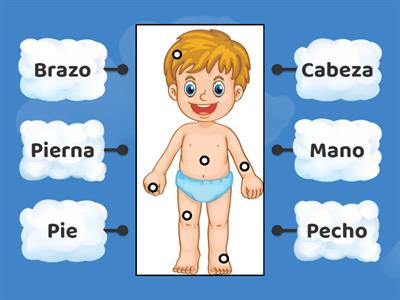 Partes Gruesas de mi Cuerpo (Niño)