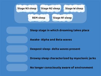 Stages of sleep
