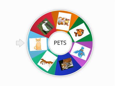 Pets - game 1ano