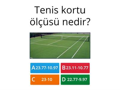 Tenis Sporu