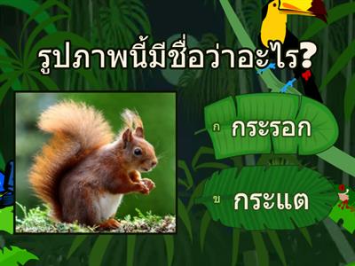 ทายสัตว์จากรูปภาพ