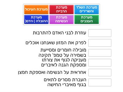 מערכות בגוף האדם ותפקידם 