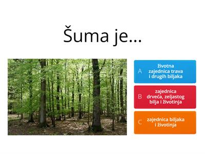Životna zajednica šume autor: Silva Baćanović