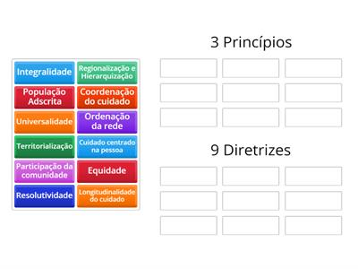 Atenção Primária à Saúde possui 3 princípios e 9 diretrizes. Agrupe os itens de acordo com o grupo a que pertencem