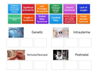 Causes of Learning Disability