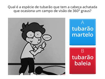 Tubarão