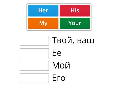 my-your-his her