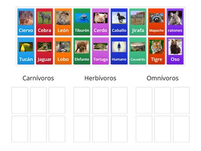 CREDA Tipos de alimentación: carnívoros, herbívoros y omnívoros
