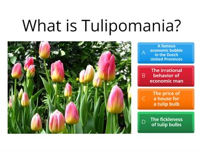 What is Tulipomania? History
