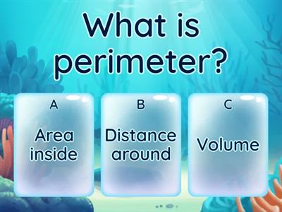 Grade 4 Perimeter Quiz