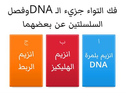 تضاعف DNA