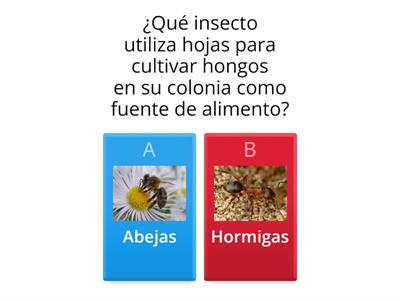 Hormigas Vs Abejas