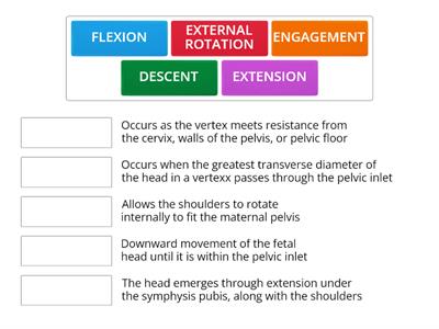 FETAL MOVEMENTS during labor