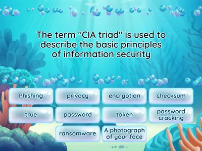 Cyber Security Fundamentals