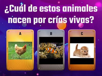 Animales oviparos y viviparos